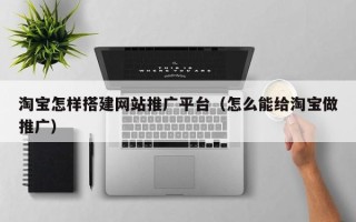 瑞安淘宝怎样搭建网站推广平台（怎么能给淘宝做推广）